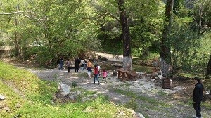 20150416_125142