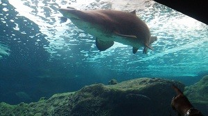 20150324_160048