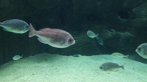 20150324_160115