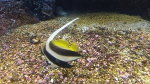 20150324_160946