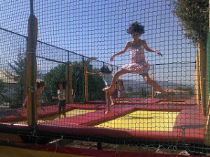 IMG_20120930_115524