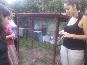 IMG_20120930_175150