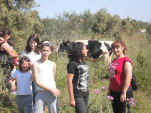 αρχείο λήψης (1)