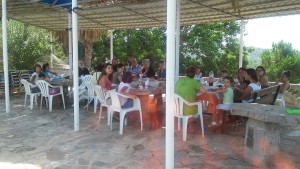 20150908_133105 (Large)