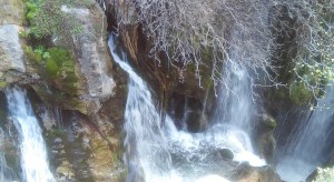 20160303_101932